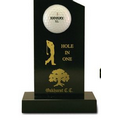 Hole in One View Point Award
